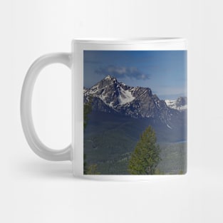 850_2017 Mug